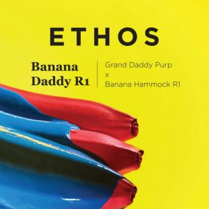 Ethos – Banana Daddy R1 (Feminized)