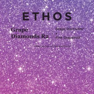 Ethos – Grape Diamonds R2 (Feminized)