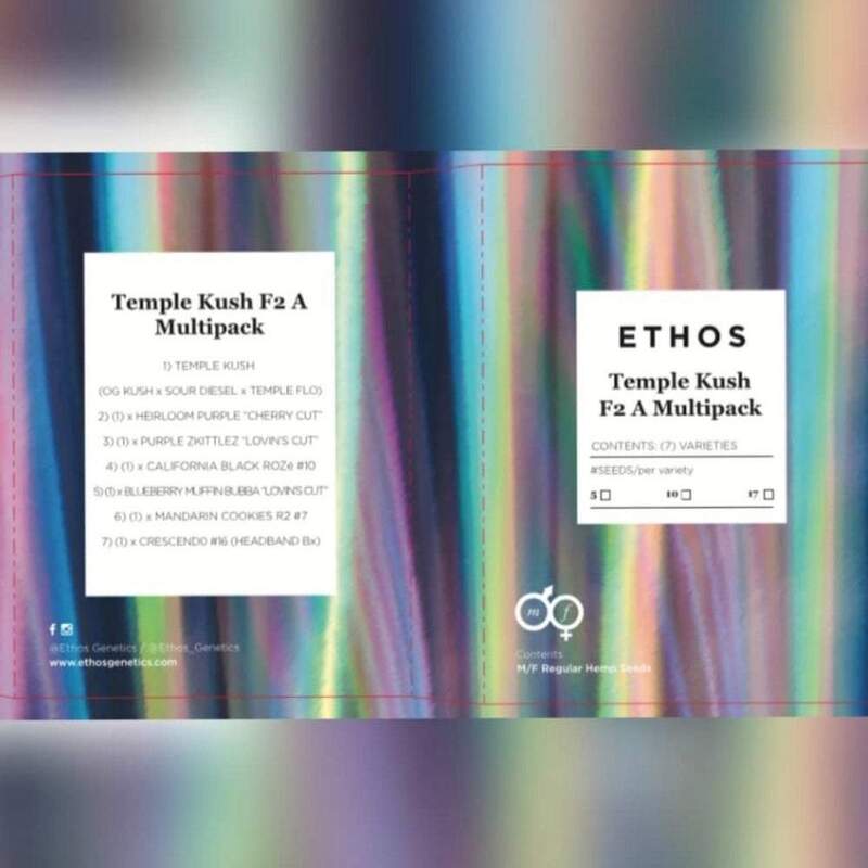 Ethos – Temple Kush F2 (A Line) Multipack (Regular M/F) - Image 5