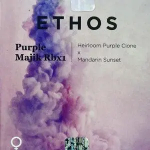 Ethos - Purple Majik Rbx1