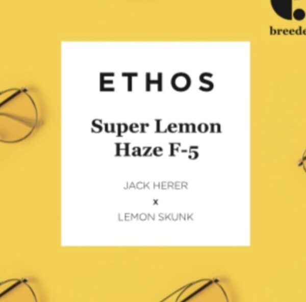 Ethos - Super Lemon Haze F5