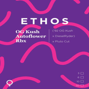 Ethos – OG Kush Autoflower Rbx (Feminized) (Autoflower)
