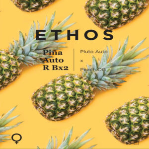 Ethos – Piña Auto RBx2 (Feminized) (Autoflower)