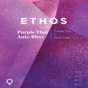 Ethos – Purple Thai Auto Rbx1 (Feminized) (Autoflower)