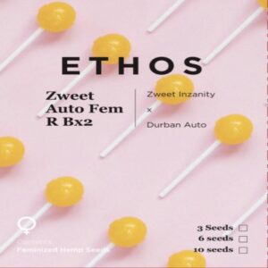 Ethos – Zweet Auto RBx2 (Feminized) (Autoflower)