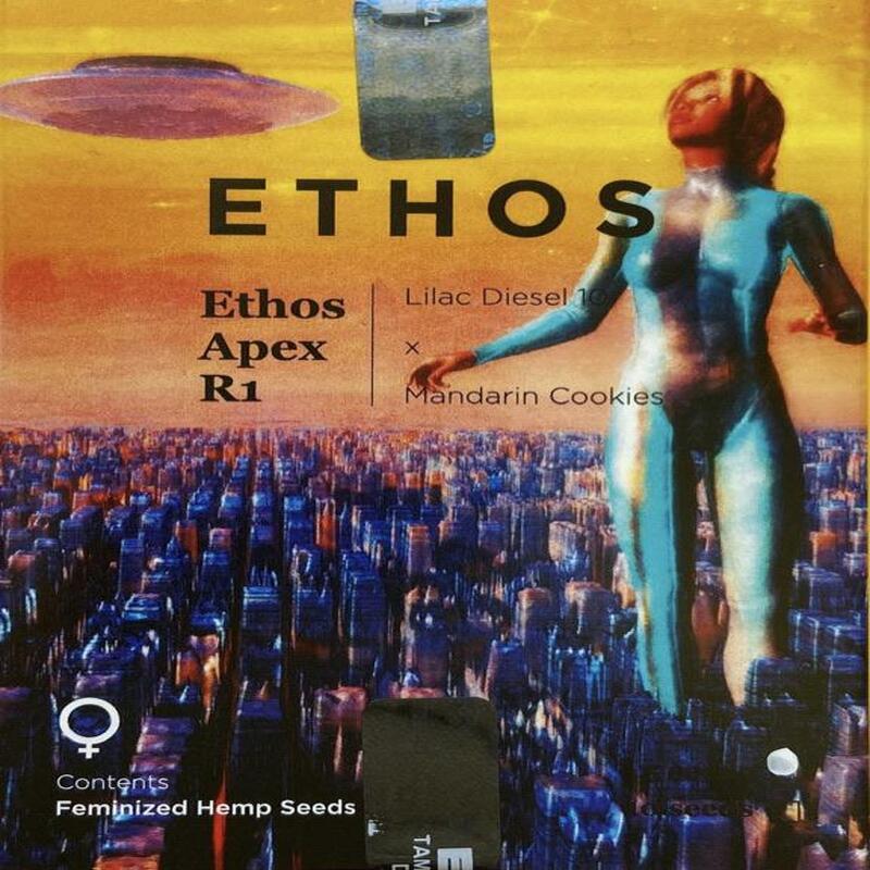 Ethos – Ethos Apex R1 (Feminized) - Image 3