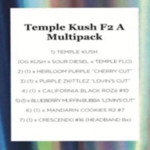 Ethos – Temple Kush F2 (A Line) Multipack (Regular M/F) - Image 2