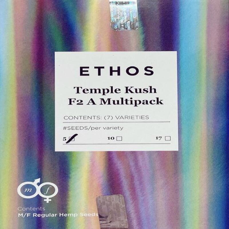 Ethos – Temple Kush F2 (A Line) Multipack (Regular M/F) - Image 4