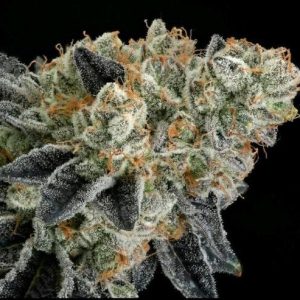 Ethos – End Game Rbx “EC #4 Line” (Feminized) - Image 2