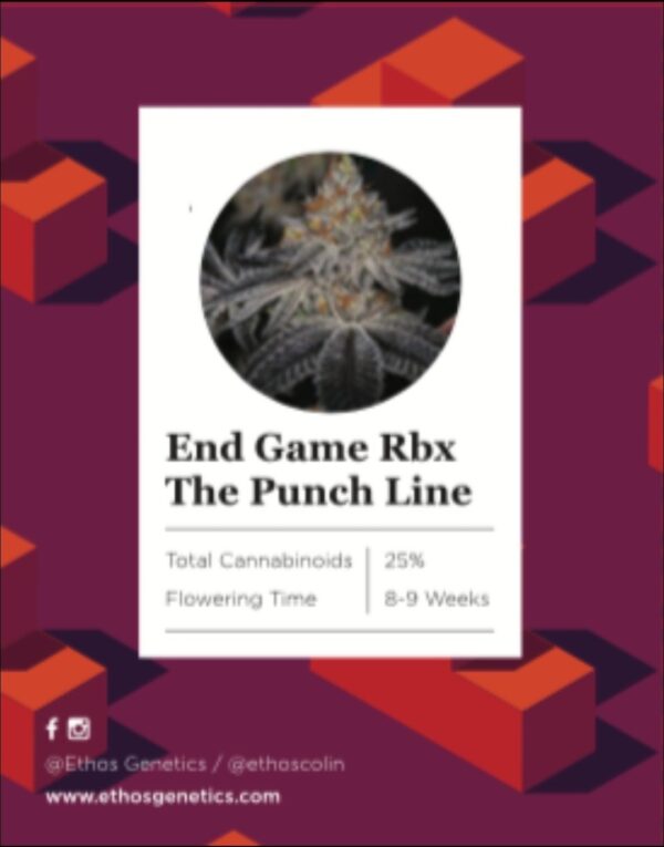 Ethos - End Game Rbx “The Punch Line”