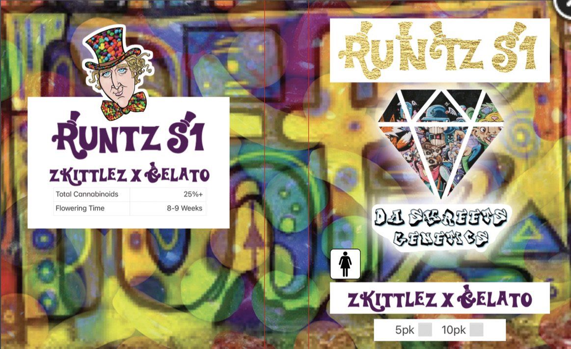 Da Skreets – Runtz S1 (Feminized) - Image 6