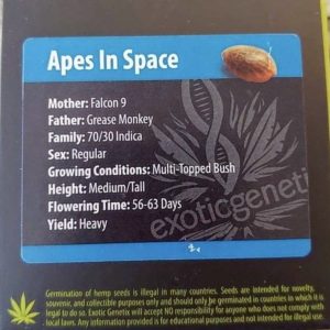 Exotic Genetix – Apes In Space (Regular M/F)