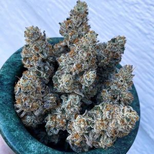 Exotic Genetix – Dirty Little Seceret (Regular M/F) - Image 2