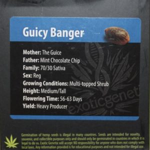 Exotic Genetix – Guicy Banger (Regular M/F)
