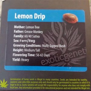 Exotic Genetix – Lemon Drip (Feminized)
