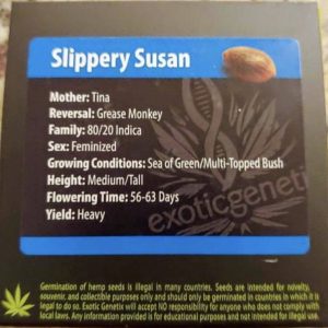 Exotic Genetix – Slippery Susan (Feminized)
