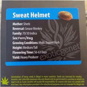 Exotic Genetix – Sweat Helmet (Fem & Reg M/F) (Regular M/F) (Feminized)