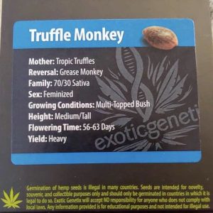 Exotic Genetix – Truffle Monkey (Feminized)