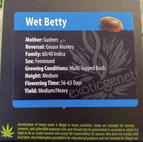 Exotic Genetix - Wet Betty (Fem)