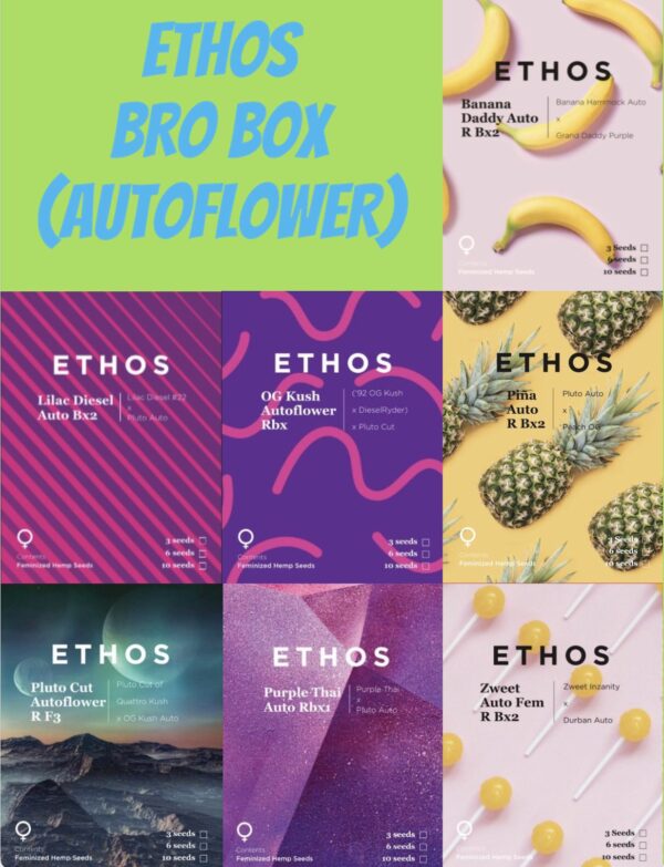 Ethos - Bro Box (Auto Packs)