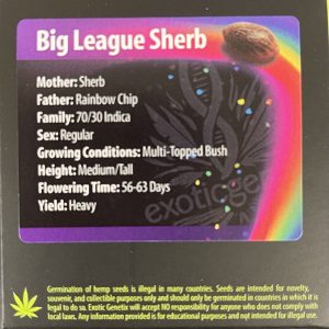 Exotic Genetix – Big League Sherb (Regular M/F)