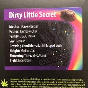 Exotic Genetix – Dirty Little Seceret (Regular M/F)