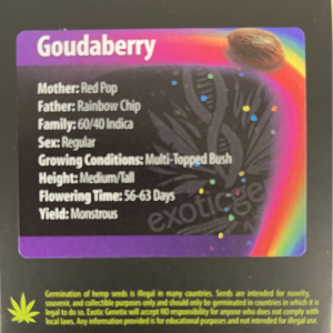 Exotic Genetix – Goudaberry (Regular M/F)