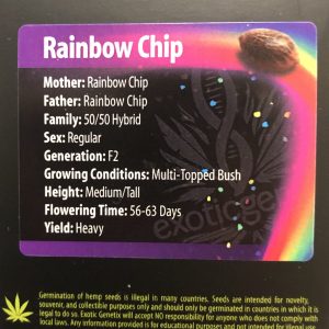 Exotic Genetix – Rainbow Chip F2 (Regular M/F)