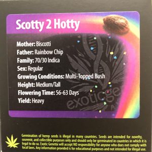 Exotic Genetix – Scotty 2 Hotty (Regular M/F)