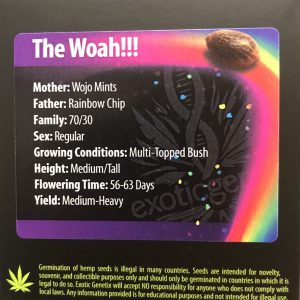 Exotic Genetix – The Woah (Regular M/F)