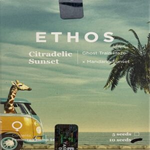 Ethos – Citradelic Sunset (Feminized)
