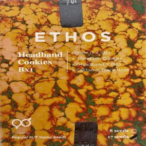 Ethos – Headband Cookies Bx1 (Retired) (Regular M/F)