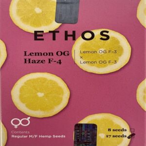 Ethos – Lemon OG Haze F4 (Regular M/F)