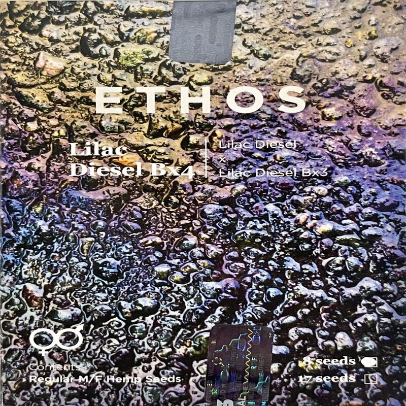 Ethos – Lilac Diesel Bx4 (Regular M/F) - Image 3
