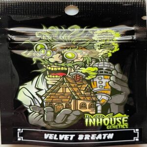 In House Genetics – Velvet Breath (Feminized)