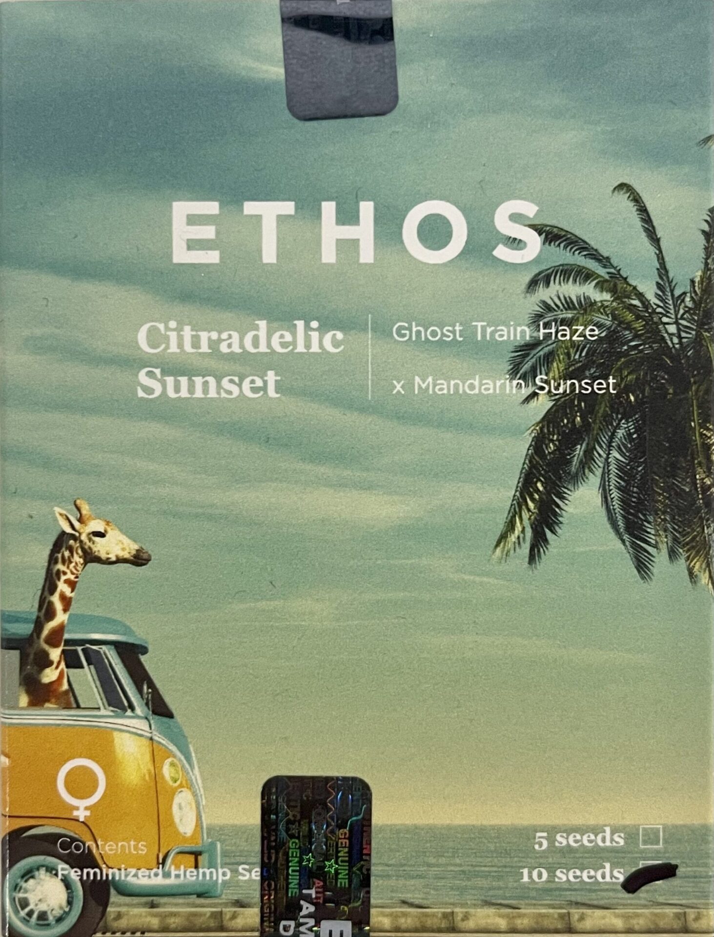 Field Ethos Official Mimosa Set – Field Ethos Journal