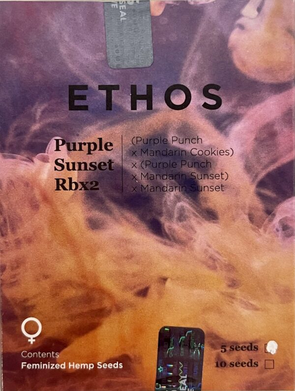 Ethos - Purple Sunset Rbx2