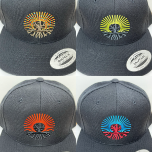 Brotanical Gardens – Tree Logo SnapBack Hat (New Era 9Fifty)