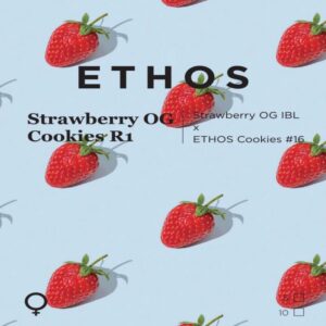 Ethos – Strawberry OG Cookies R1 (Feminized)