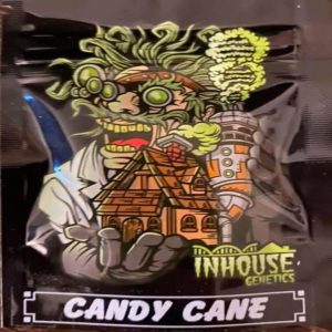 In House Genetics – Candy Cane (Feminized)