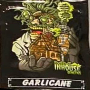 In House Genetics – Garlicane (Feminized)