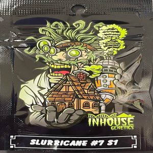 In House Genetics – Slurricane 🔸#7 S1🔸 (Feminized)