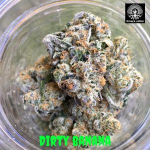 In House Genetics – Dirty Banana (Feminized) - Image 2