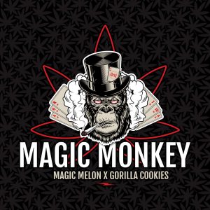 Elev8 Seeds – Magic Monkey (Retired) (Feminized)