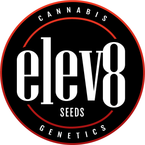 Elev8 Seeds – Reef Rider (Feminized)