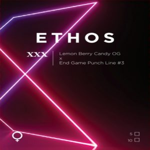 Ethos – XXX (Feminized)