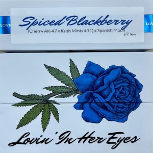 Lovin In Her Eyes – Spiced Blackberry (Feminized)