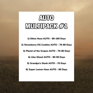 Ethos – Auto Multipack #1 (Feminized) (Autoflower) - Image 2