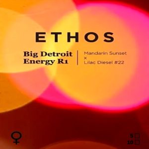 Ethos – Big Detroit Energy R1 (Feminized)