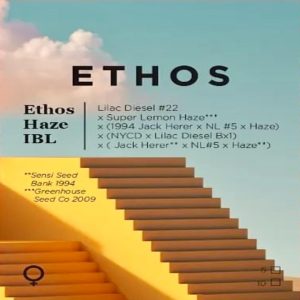 Ethos – Ethos Haze IBL (Feminized)